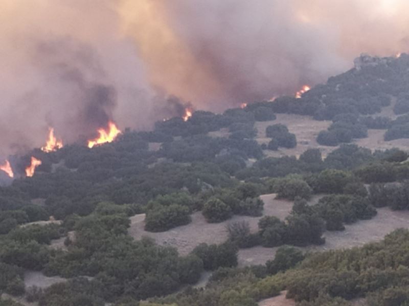Manisa Büyükşehir Belediyesi ve MASKİ, Denizli’deki orman yangınına müdahalede bulundu
