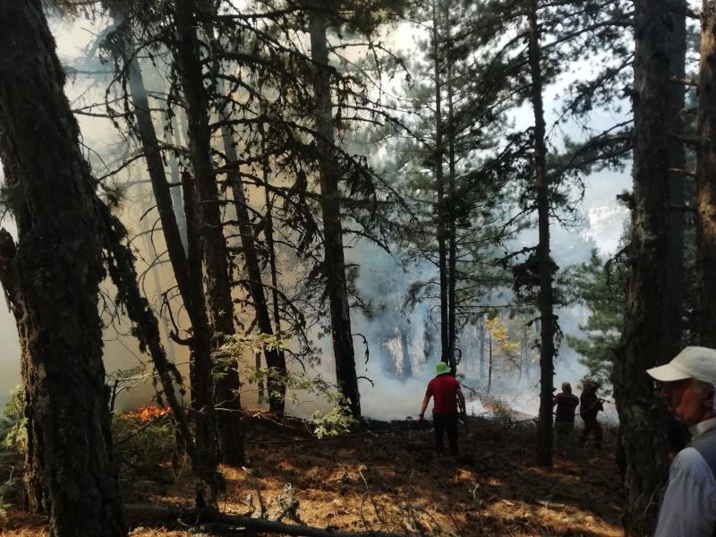 Buldan’daki 2. orman yangını da söndürüldü
