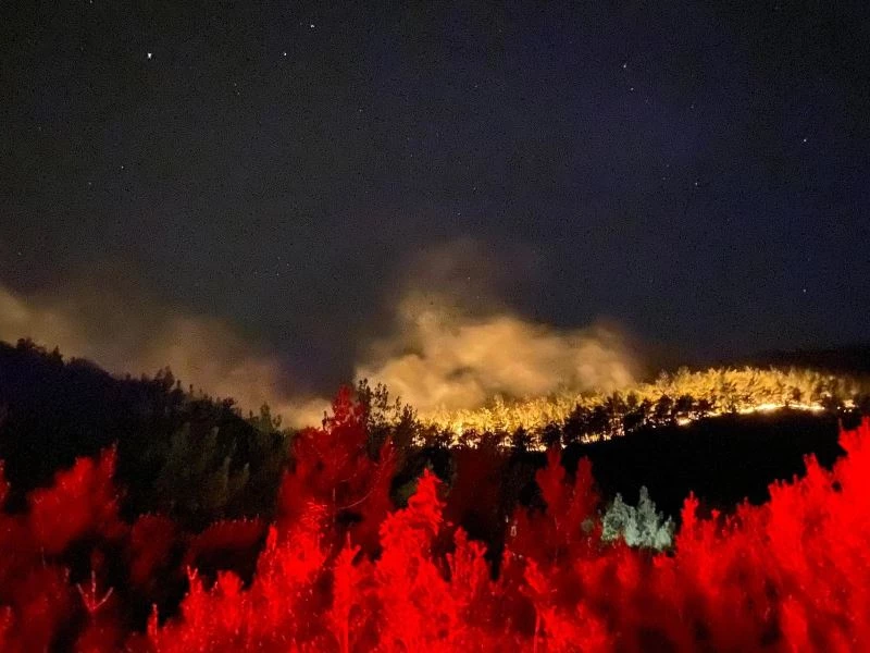 Bursa Yıldırım Belediyesi, Muğla’daki yangınlarda canla başla mücadele ediyor

