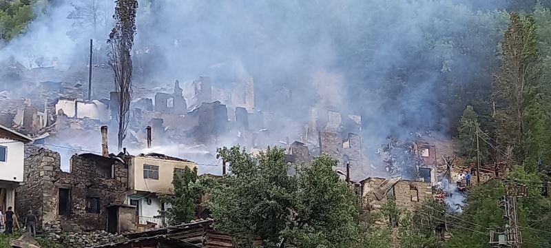 Artvin’in Yusufeli ilçesi Yüncüler köyündeki yangın kontrol altına alındı
