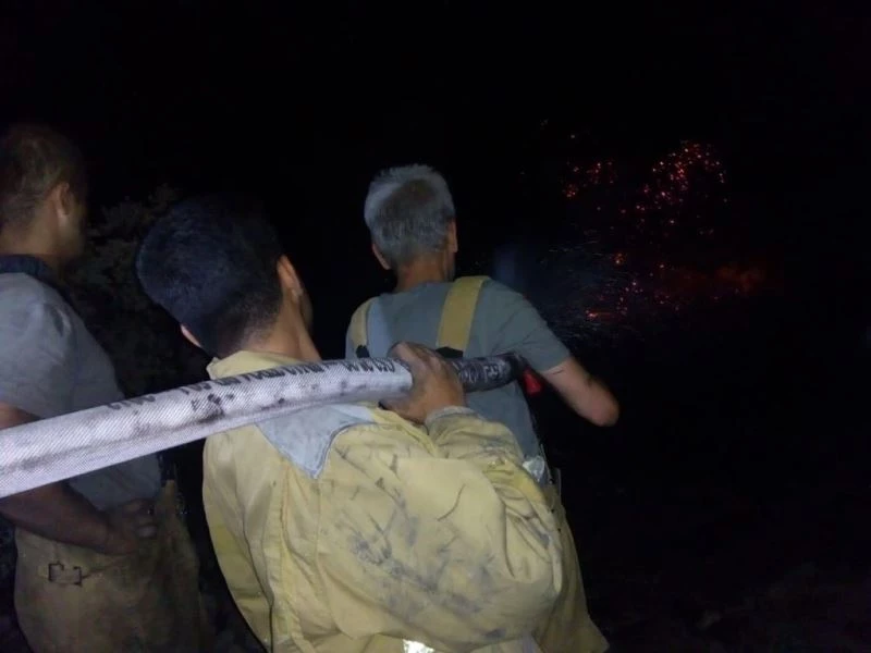 MSB: “Mehmetçik, arazöz ve iş makinaları ile bölgede devam eden yangın söndürme çalışmalarını aralıksız sürdürüyor