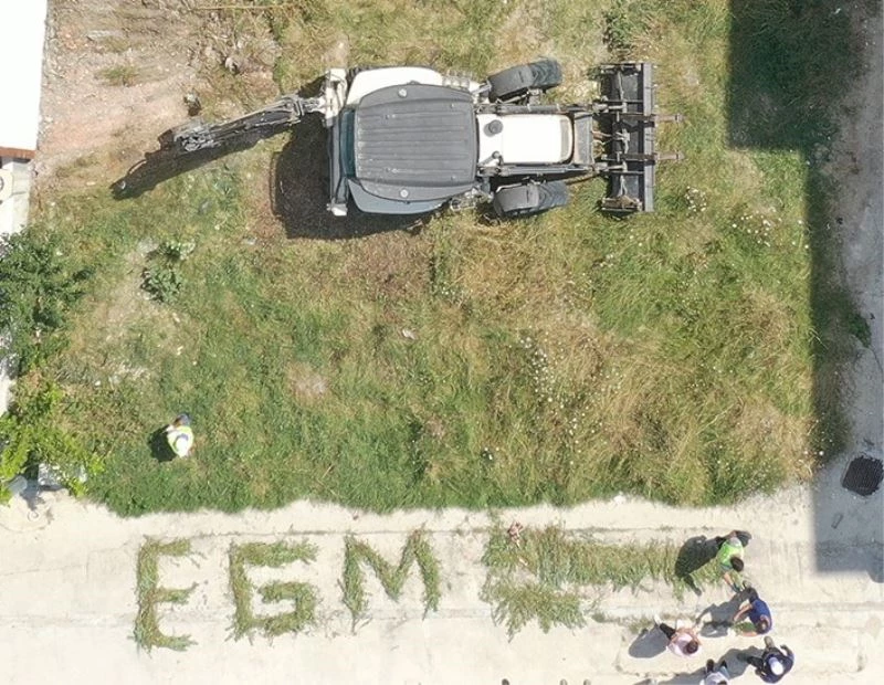 Boş araziye ekilen binlerce kök Hint keneviri polisin dikkatinden kaçmadı
