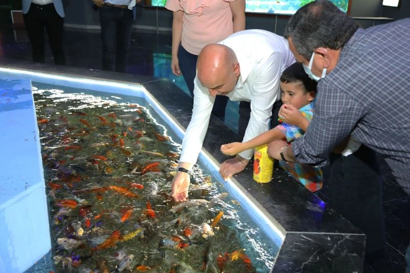 Biberonla beslenen Koi balıkları minik ziyaretçilerden yoğun ilgi görüyor
