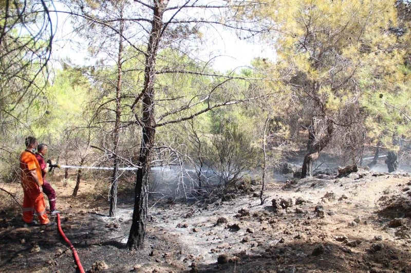 Ormana giriş yasağını delip haberleri olmadığını söylediler
