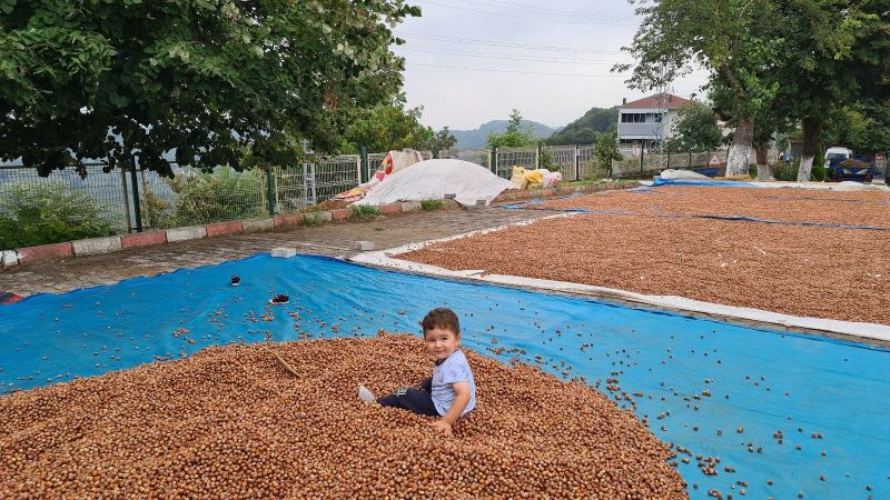 “Fındık fiyatı tarihi rekorunu kıracak, o rakamın altına satmayın”
