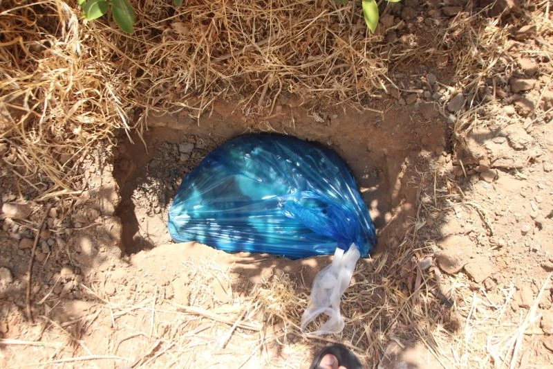 Mahalleli zehirlenen canlar için ayağa kalktı
