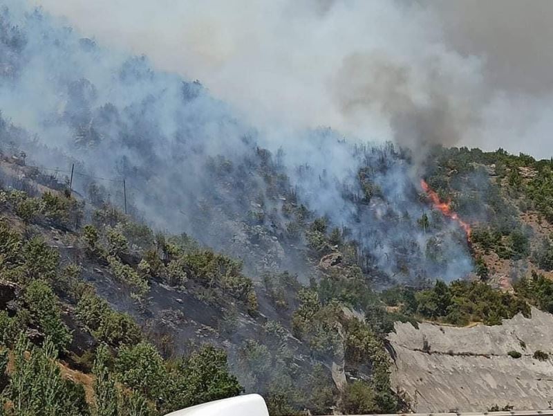 Bitlis’te 2 ayrı noktada örtü yangını çıktı
