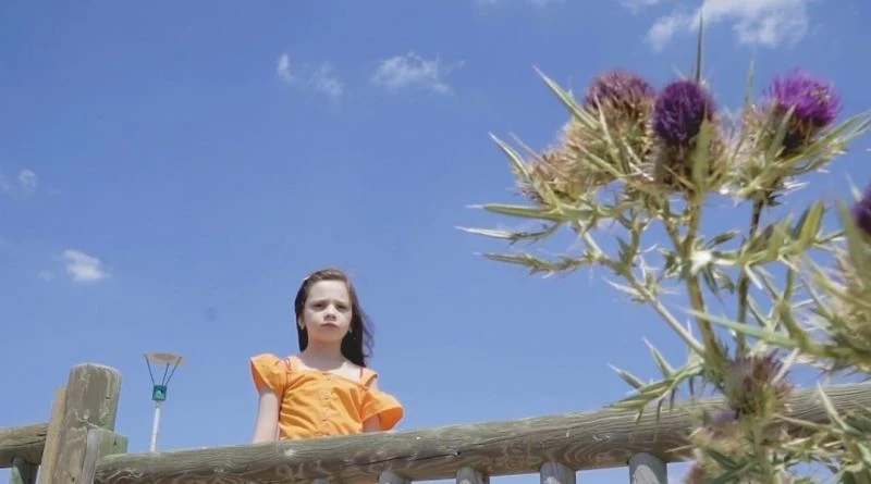 Onlar hiç korkmadılar ve tereddüt etmediler
