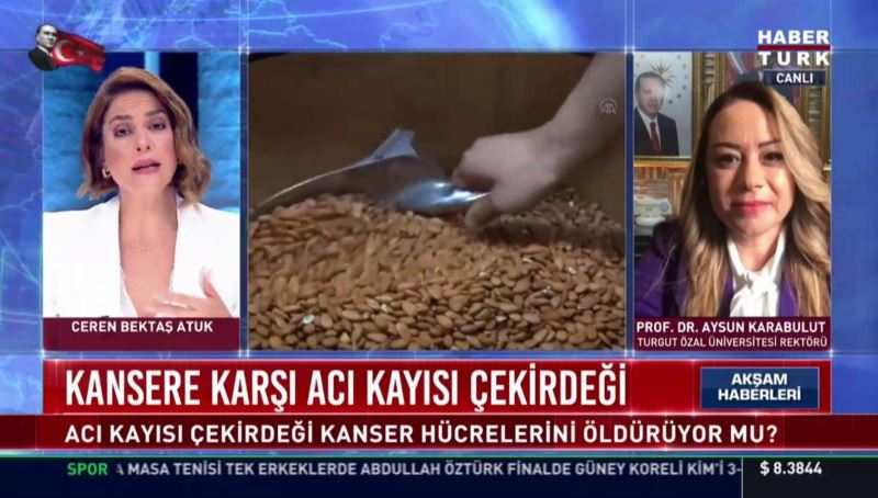 Rektör Karabulut, acı kayısı çekirdeğinin kanser hücrelerine etkisini anlattı
