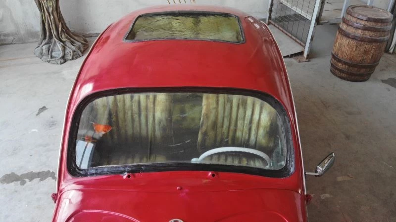 Bu akvaryum Türkiye’de tek
