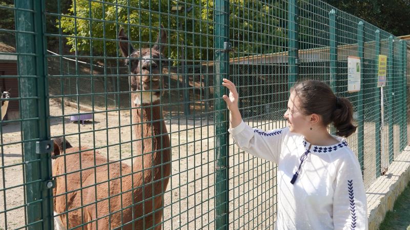 Keçiören’deki Doğal Yaşam Parkı’nda bulunan kuş evi ilgi odağı oluyor
