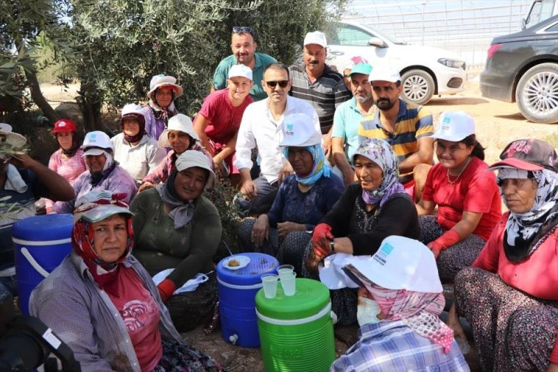 Silifke Belediye Başkanı Sadık Altunok, işçilerle çilek fidesi dikti