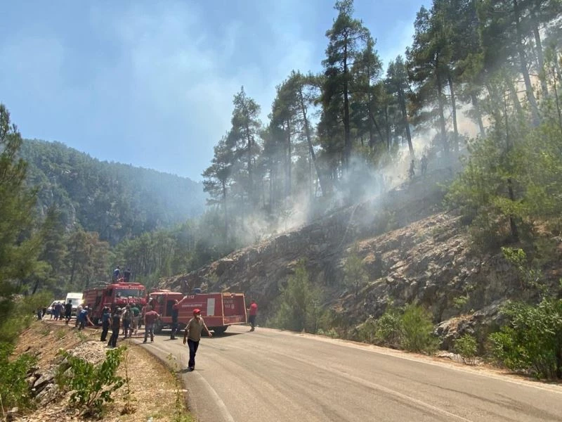 Isparta’da alev alan tırdan ormana sıçrayan kıvılcımlar yangına neden oldu
