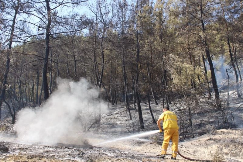 Sarayköy’de 1 dönüm ormanlık alan zarar gördü
