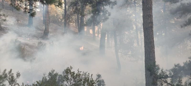 Tavas’taki yangın kısmen kontrol altına alındı
