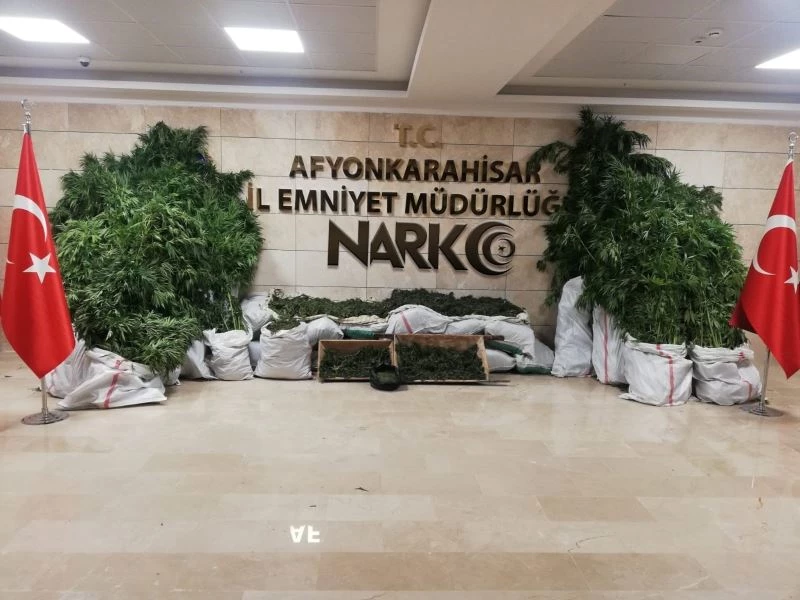 Hamur teknesinde 72 kilo esrar, mısır tarlasında 15 bin kök kenevir ele geçirildi
