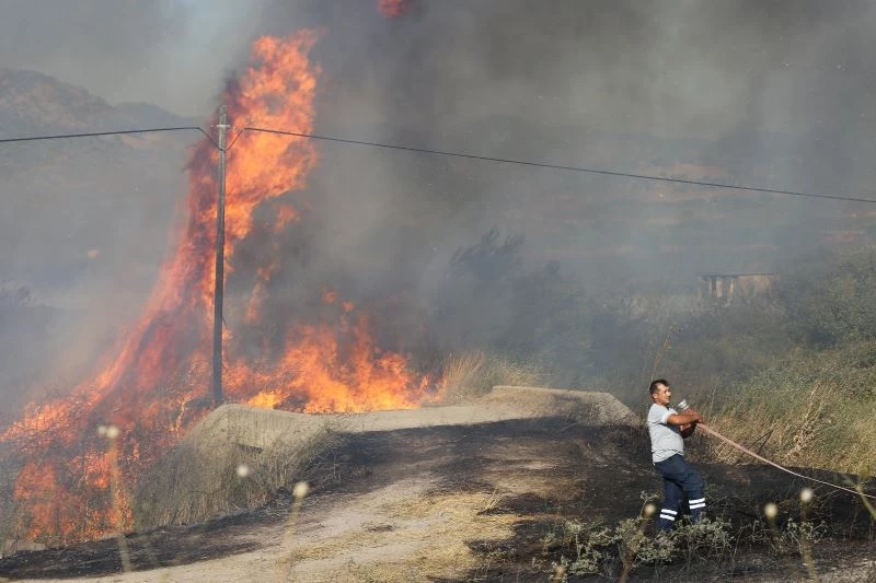 Dikili-Salihler’de çıkan yangın kontrol altına alındı
