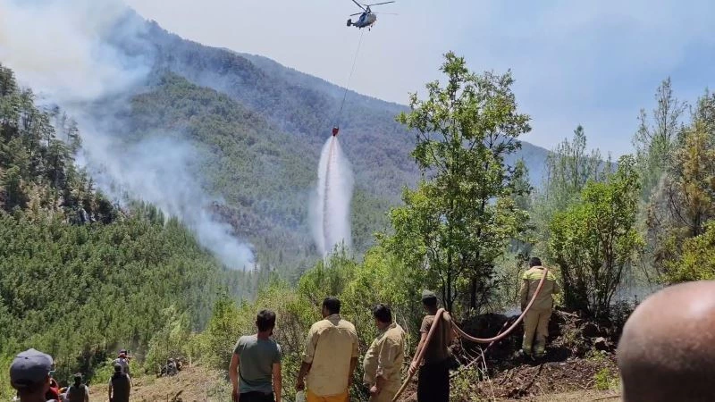 Eynif Ovasına inen yangın, yaban hayatını da etkiliyor
