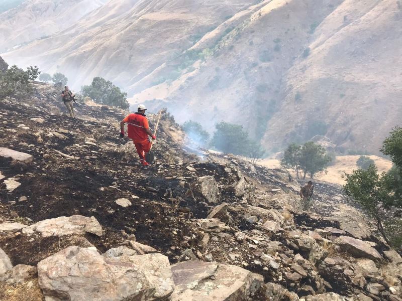 Bingöl’de ormanlık alandaki yangın büyümeden söndürüldü
