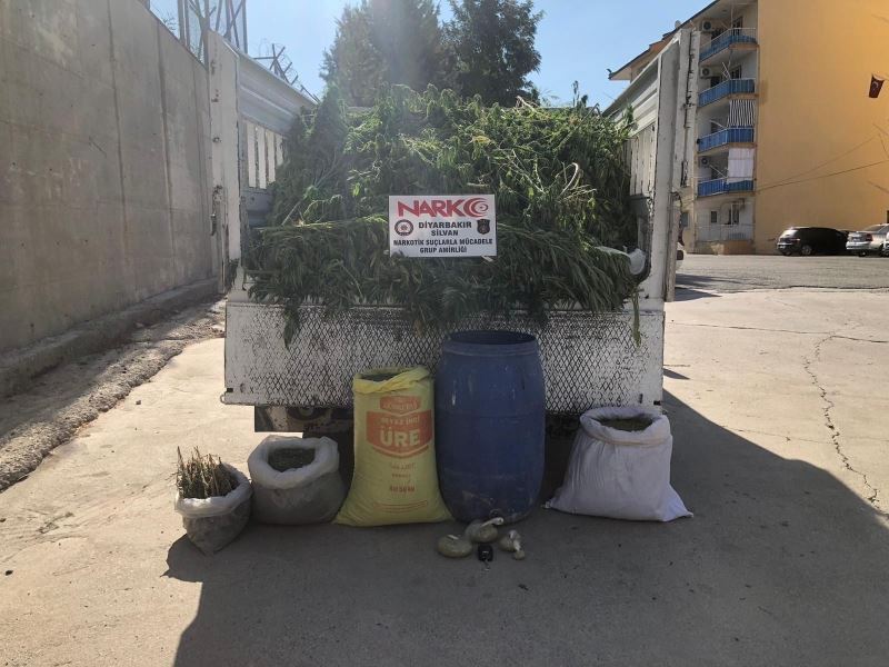 Diyarbakır’da 60 kilogram esrar 5 bin kök Hint keneviri ele geçirildi
