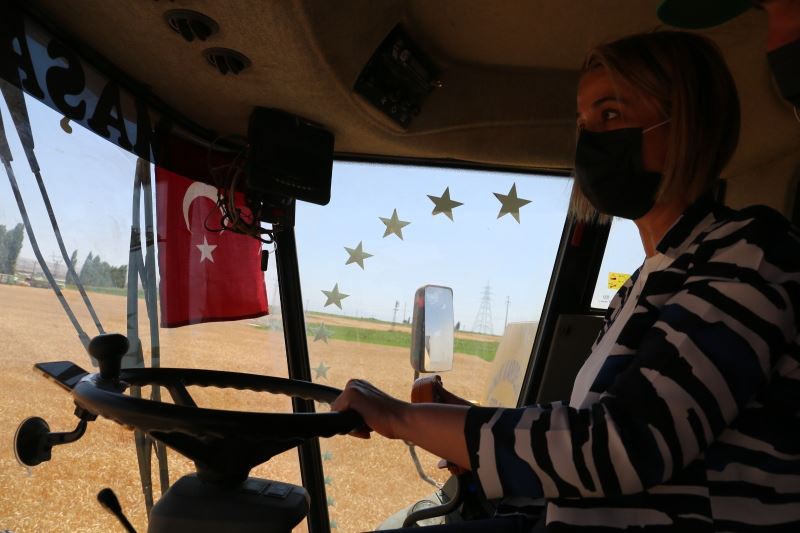 Nevşehir Valisi Becel, biçerdövere binerek hasat yaptı
