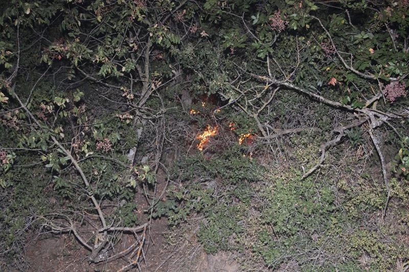 Zeytinlikte çıkan yangın, zamanında müdahale ile büyümeden kontrol altına alındı
