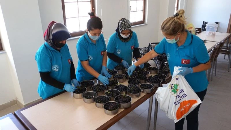 İhtiyaç sahibi ailelerin meyveleri Beypazarı Belediye Bahçesinden karşılanacak
