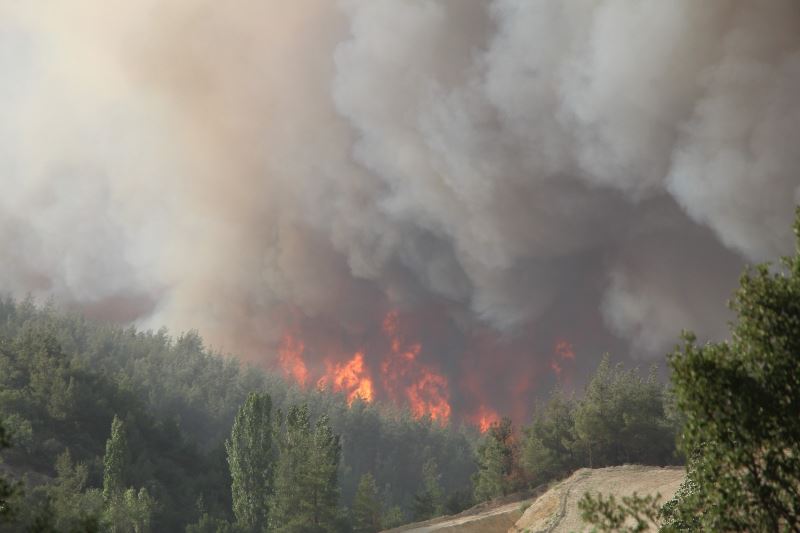 Denizli’deki 5 orman yangını tamamen söndürüldü
