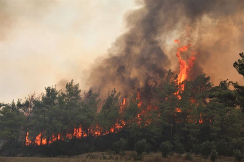 Orman yangınları ile mücadele eden Antalya’ya yağmur müjdesi

