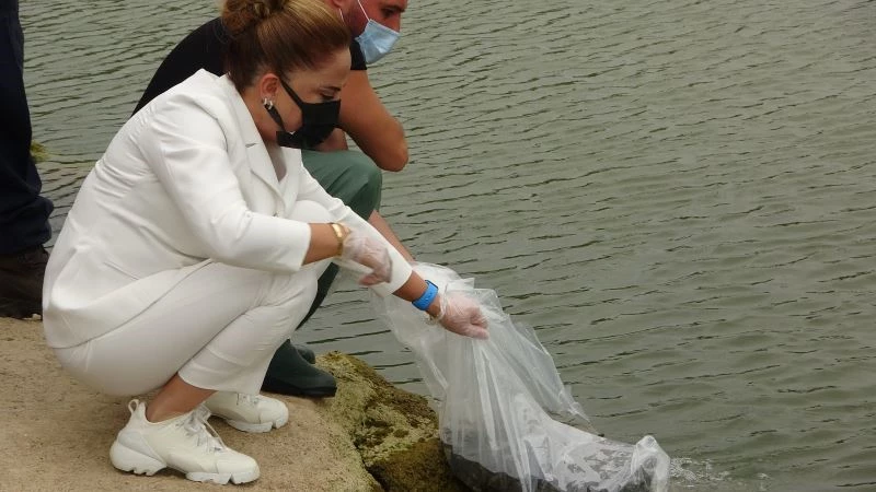 Uşak’ta 259 bin sazan göllere bırakıldı
