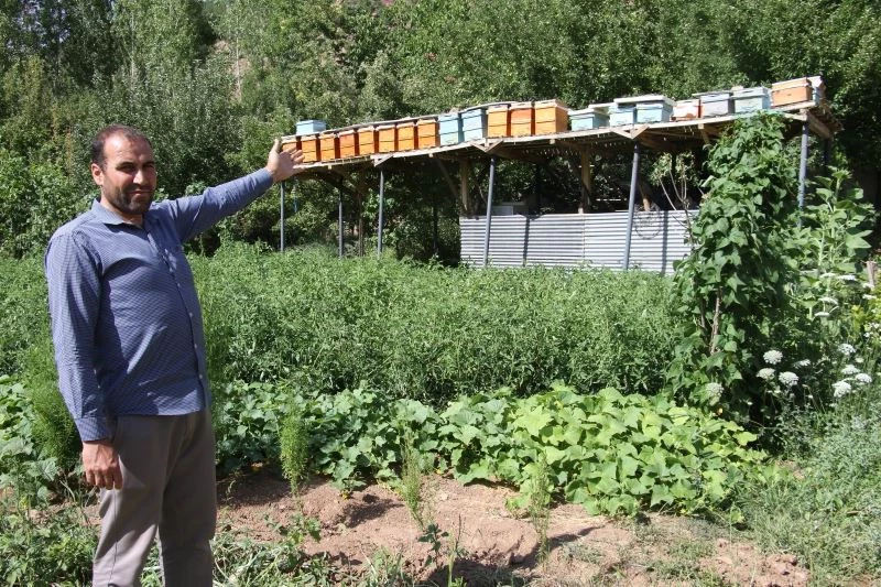 Ayılar balını yiyince çareyi 3,5 metrelik iskele kurmakta buldu
