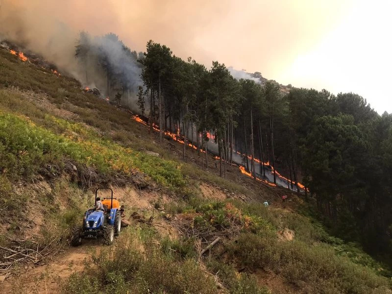 Aydın’daki yangınlardan biri kontrol altına alındı

