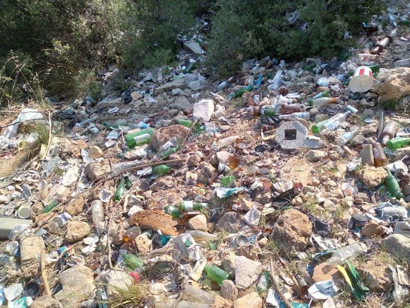 Ormanlarda temizlik seferberliği
