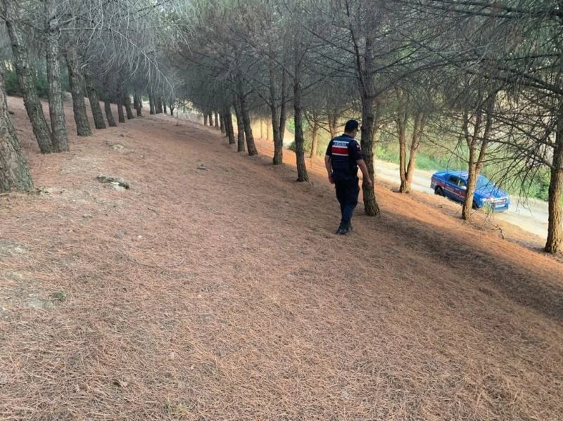 Jandarma ormanlık alanlardaki devriyeleri artırdı
