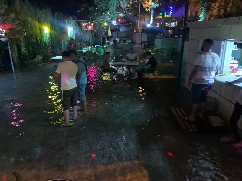 Fırat’ta su seviyesi yükseldi, çay bahçelerini su bastı
