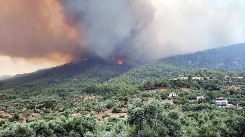 Akçaova yangınında 4 mahalle tehdit altında
