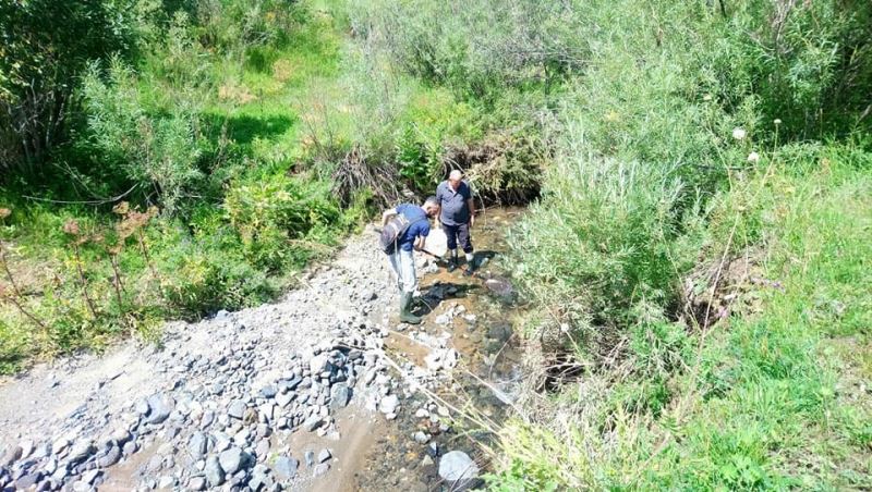 Kars’ta DKMP’den alabalık üretim çalışması
