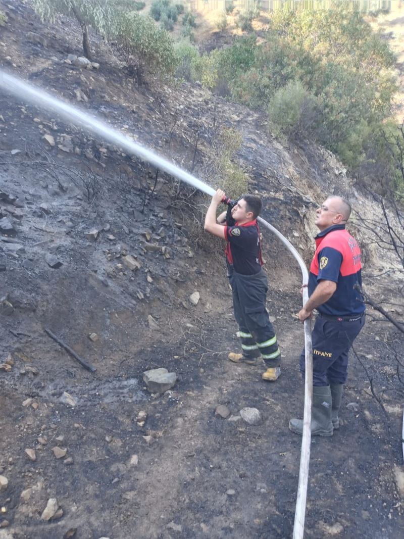 Karacasu’daki yangın hızlı müdahale ile söndürüldü
