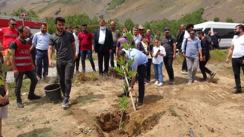 Ülkede çıkan yangınlardan dolayı Nemrut Dağı’nda ağaç dikimi gerçekleştirildi
