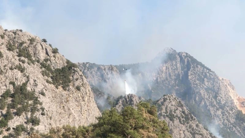 Sütçüler’deki yangında 1 hafta geride kaldı, soğutma çalışmaları devam ediyor
