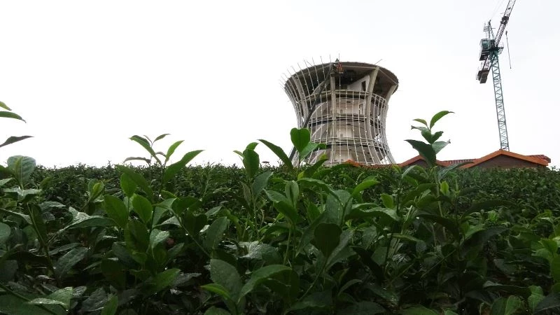 Çay Çarşısı’nda sadece göze değil buruna da hitap edilecek
