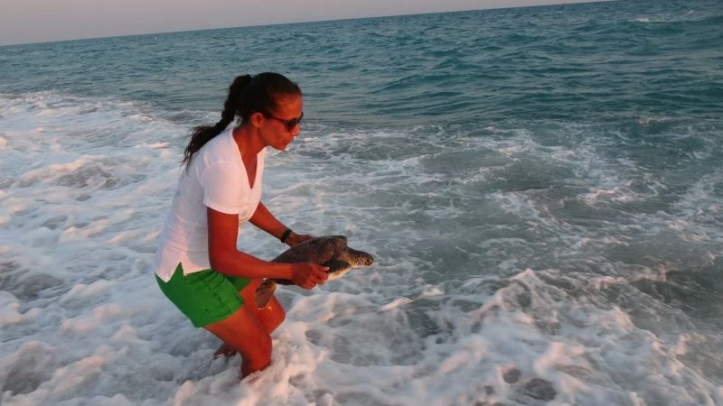 Önceki gün ölen caretta başında ağlamıştı, bugün hayata tutunan caretta başında sevinçten ağladı
