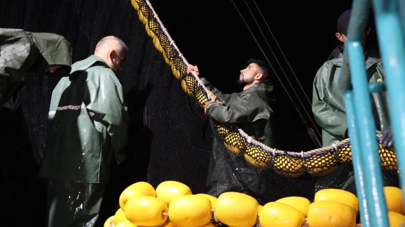 4.5 ayın ardından ağlar yeniden balık doldu
