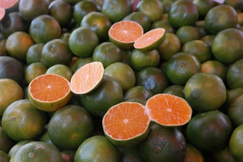 Mandalina tezgâhlarda yerini almaya başladı
