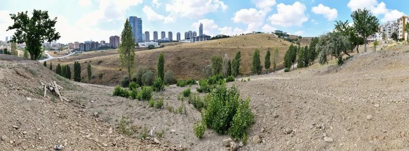 Dikmen Deresi’nde yürütülen atıkla mücadele çalışmaları tamamlandı
