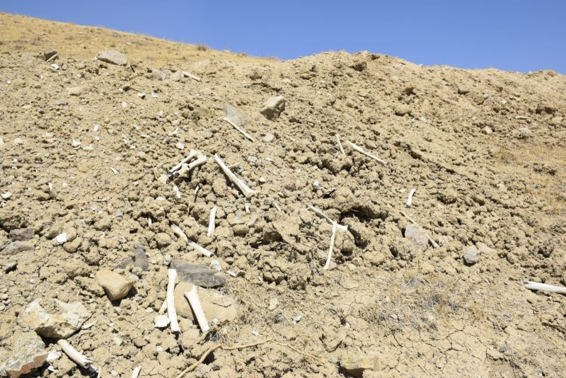 Elazığ’da içme suyu yolu mezarlık içinden geçince, kemikler etrafa saçıldı
