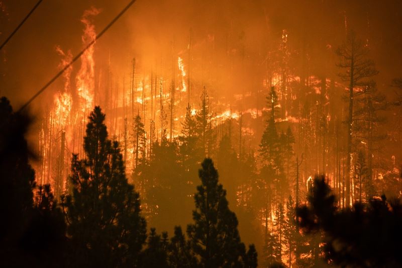 California’daki Caldor yangını 34 binden fazla yapıyı tehdit ediyor
