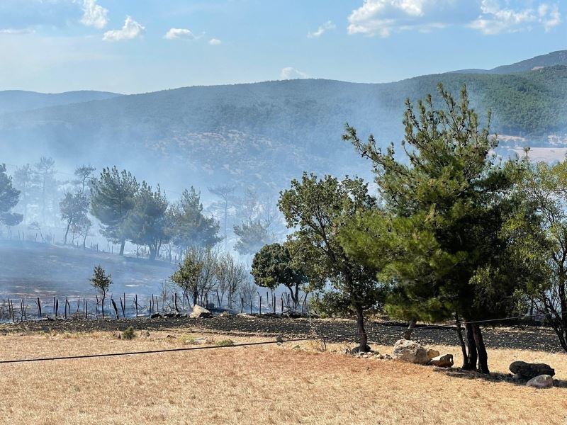 Çanakkale’deki orman yangınında 30 hektarlık alan zarar gördü
