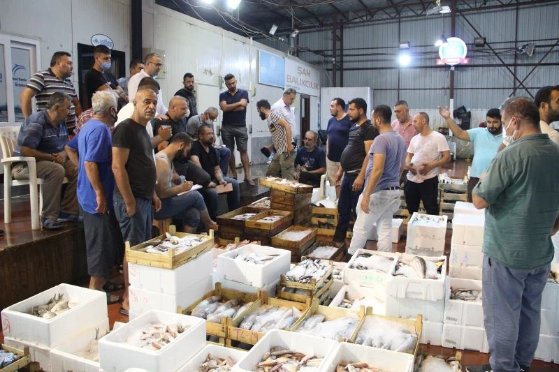 Denizde av sezonu açıldı, Antalya’da ilk balıklar kapış kapış satıldı
