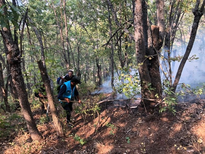 Tunceli’deki yangınlara müdahaleler sürüyor
